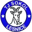 TJ Sokol Lesnice B